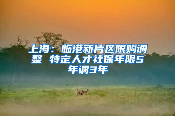 上海：临港新片区限购调整 特定人才社保年限5年调3年