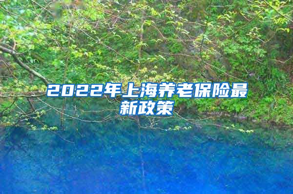 2022年上海养老保险最新政策