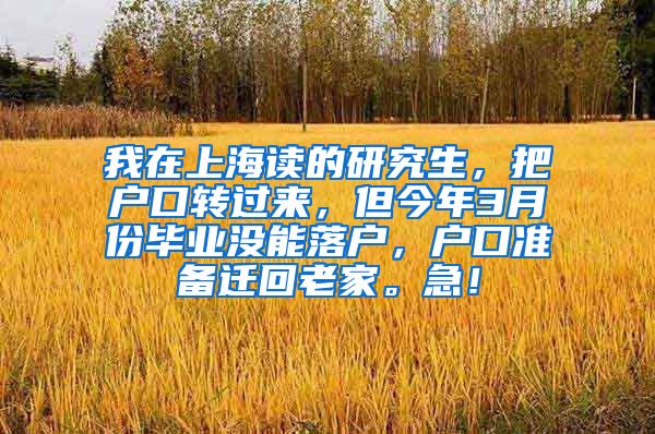 我在上海读的研究生，把户口转过来，但今年3月份毕业没能落户，户口准备迁回老家。急！