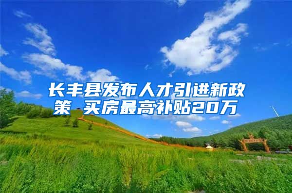 长丰县发布人才引进新政策 买房最高补贴20万