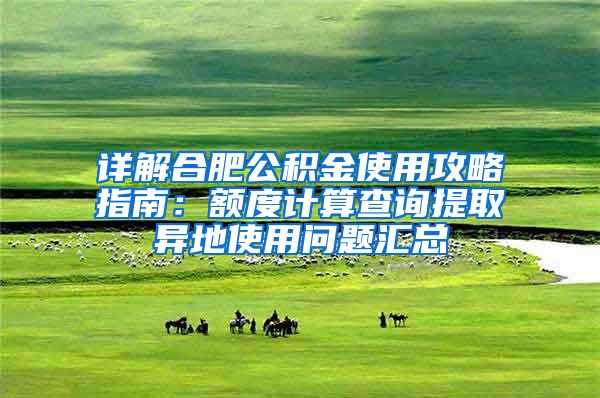 详解合肥公积金使用攻略指南：额度计算查询提取异地使用问题汇总