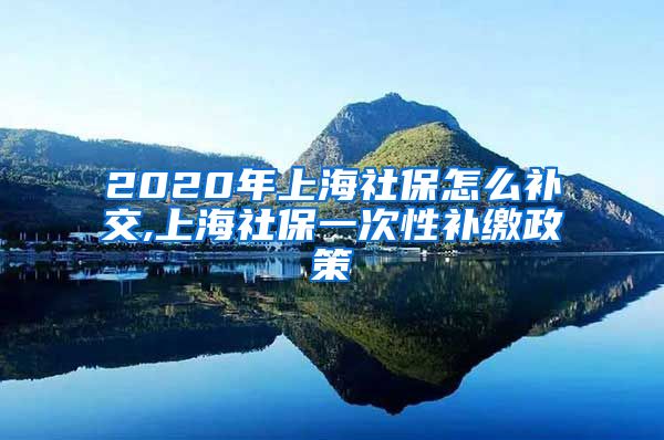2020年上海社保怎么补交,上海社保一次性补缴政策
