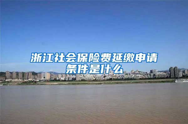 浙江社会保险费延缴申请条件是什么