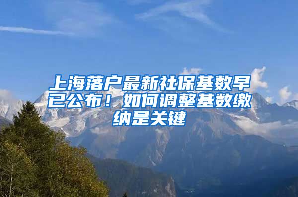 上海落户最新社保基数早已公布！如何调整基数缴纳是关键