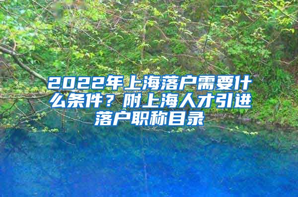 2022年上海落户需要什么条件？附上海人才引进落户职称目录