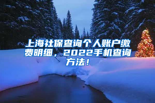 上海社保查询个人账户缴费明细，2022手机查询方法！