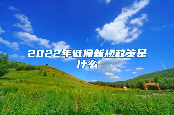 2022年低保新规政策是什么