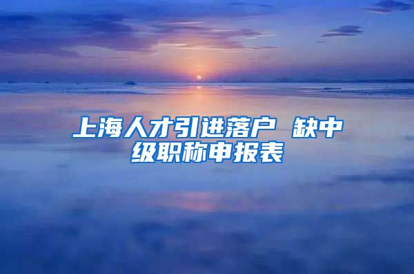 上海人才引进落户 缺中级职称申报表