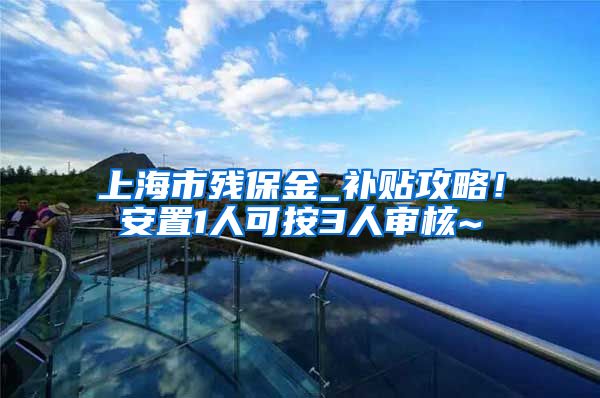 上海市残保金_补贴攻略！安置1人可按3人审核~