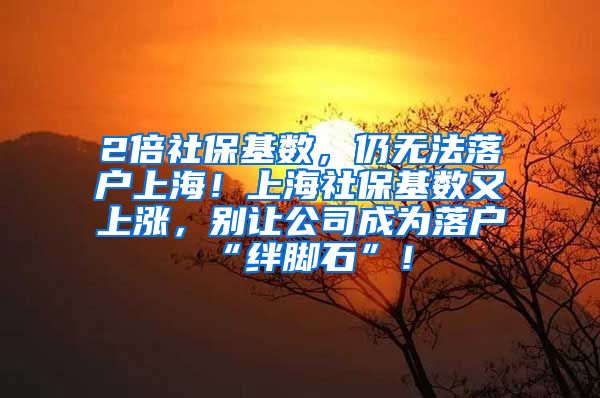 2倍社保基数，仍无法落户上海！上海社保基数又上涨，别让公司成为落户“绊脚石”！