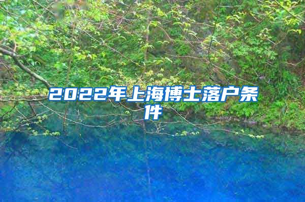 2022年上海博士落户条件