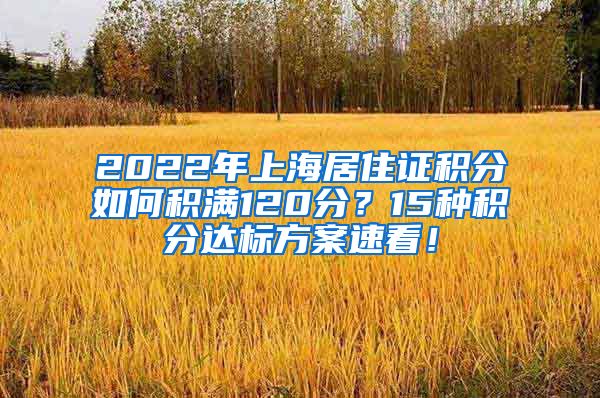 2022年上海居住证积分如何积满120分？15种积分达标方案速看！