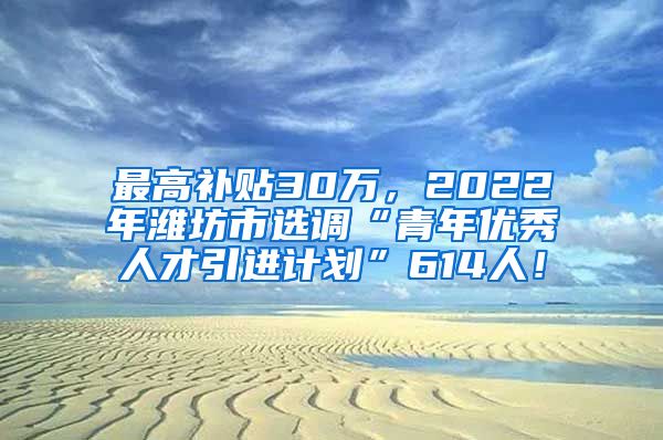 最高补贴30万，2022年潍坊市选调“青年优秀人才引进计划”614人！