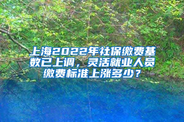 上海2022年社保缴费基数已上调，灵活就业人员缴费标准上涨多少？