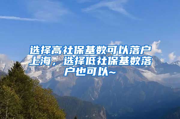 选择高社保基数可以落户上海，选择低社保基数落户也可以~