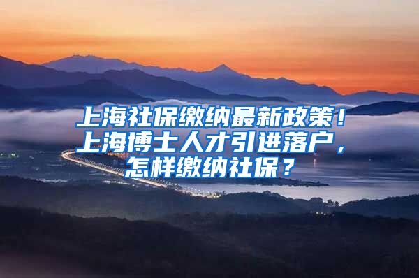 上海社保缴纳最新政策！上海博士人才引进落户，怎样缴纳社保？