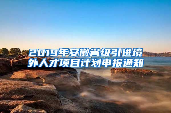 2019年安徽省级引进境外人才项目计划申报通知