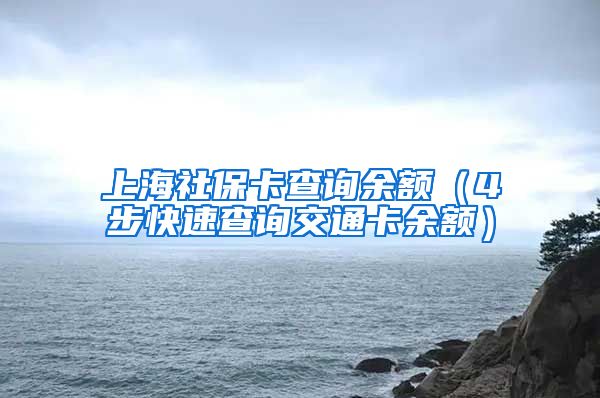 上海社保卡查询余额（4步快速查询交通卡余额）