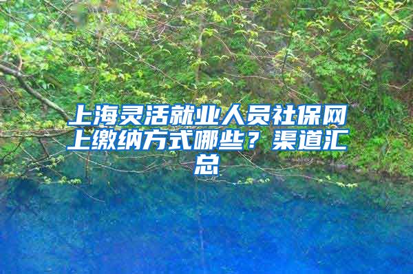 上海灵活就业人员社保网上缴纳方式哪些？渠道汇总