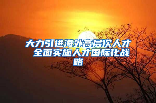 大力引进海外高层次人才 全面实施人才国际化战略