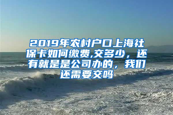 2019年农村户口上海社保卡如何缴费,交多少，还有就是是公司办的，我们还需要交吗