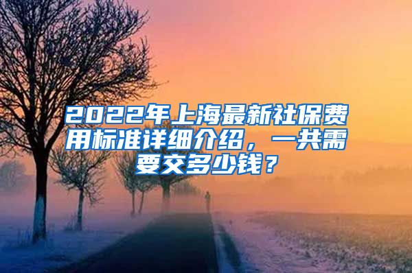 2022年上海最新社保费用标准详细介绍，一共需要交多少钱？