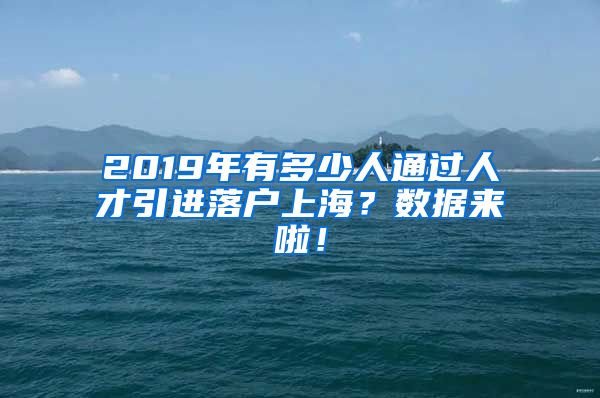 2019年有多少人通过人才引进落户上海？数据来啦！