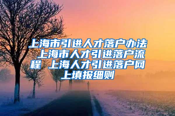 上海市引进人才落户办法 上海市人才引进落户流程 上海人才引进落户网上填报细则