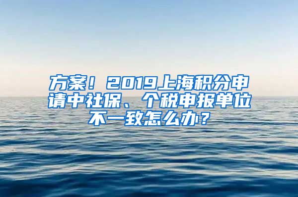 方案！2019上海积分申请中社保、个税申报单位不一致怎么办？