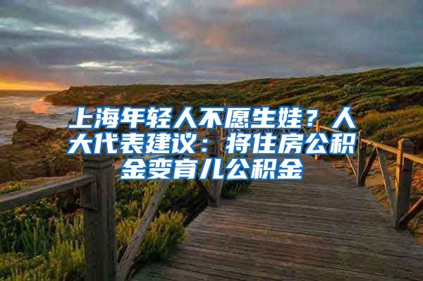 上海年轻人不愿生娃？人大代表建议：将住房公积金变育儿公积金