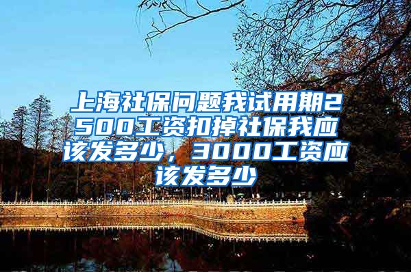 上海社保问题我试用期2500工资扣掉社保我应该发多少，3000工资应该发多少