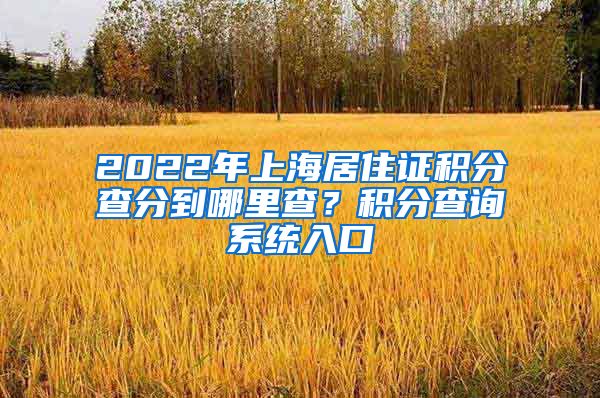 2022年上海居住证积分查分到哪里查？积分查询系统入口