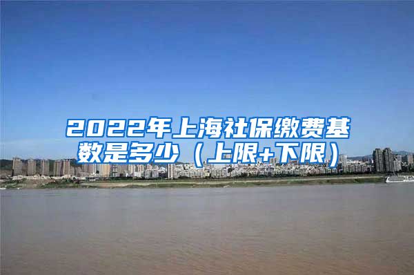 2022年上海社保缴费基数是多少（上限+下限）