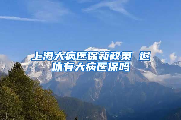 上海大病医保新政策 退休有大病医保吗