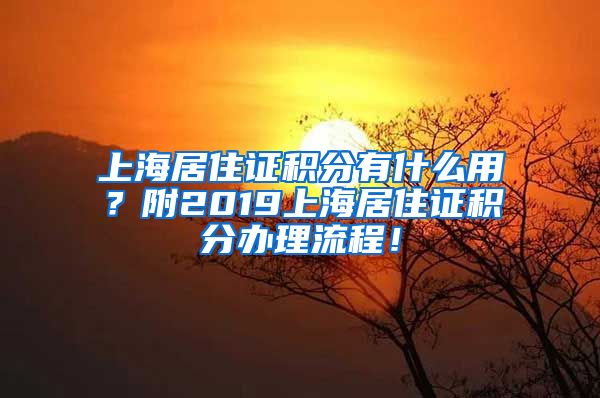 上海居住证积分有什么用？附2019上海居住证积分办理流程！