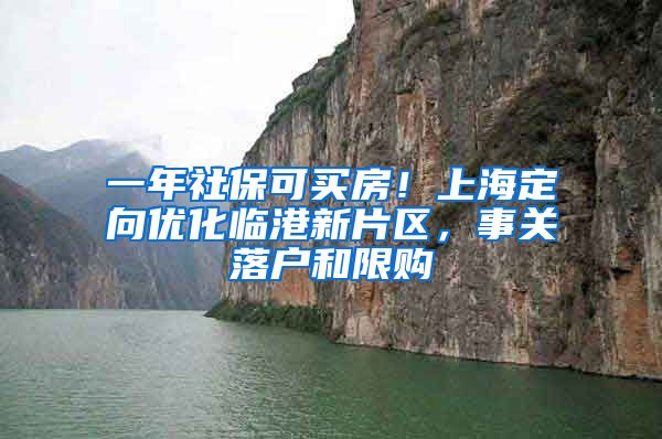 一年社保可买房！上海定向优化临港新片区，事关落户和限购