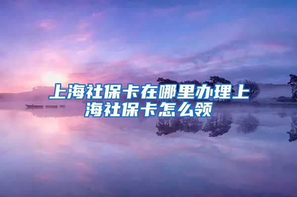 上海社保卡在哪里办理上海社保卡怎么领