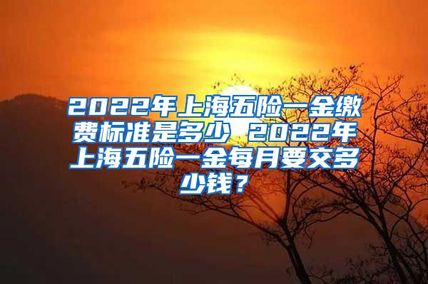 2022年上海五险一金缴费标准是多少 2022年上海五险一金每月要交多少钱？