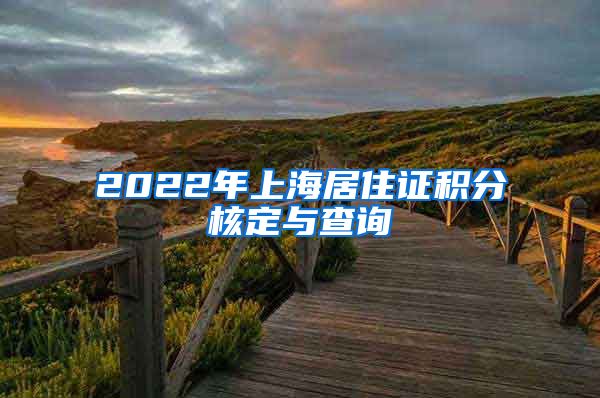 2022年上海居住证积分核定与查询