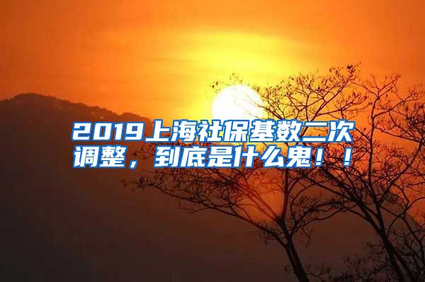 2019上海社保基数二次调整，到底是什么鬼！！