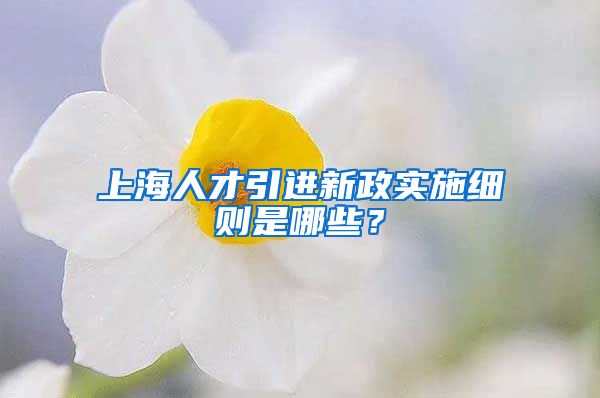 上海人才引进新政实施细则是哪些？