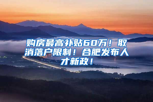 购房最高补贴60万！取消落户限制！合肥发布人才新政！