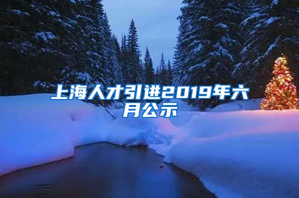 上海人才引进2019年六月公示