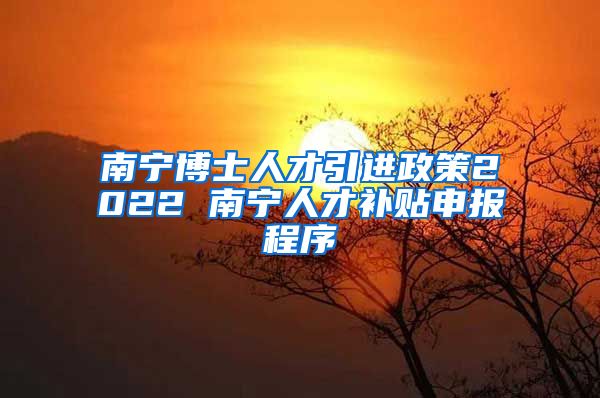 南宁博士人才引进政策2022 南宁人才补贴申报程序