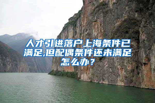 人才引进落户上海条件已满足,但配偶条件还未满足怎么办？