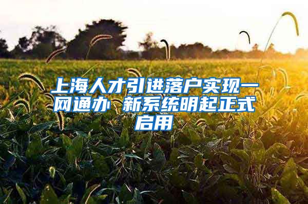 上海人才引进落户实现一网通办 新系统明起正式启用