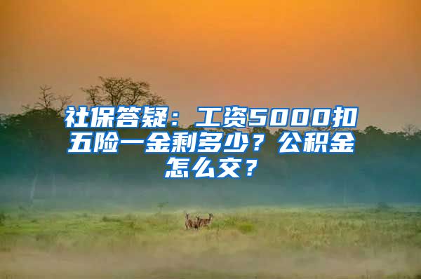 社保答疑：工资5000扣五险一金剩多少？公积金怎么交？