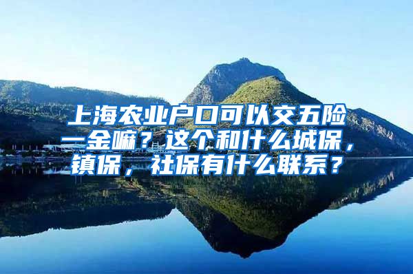 上海农业户口可以交五险一金嘛？这个和什么城保，镇保，社保有什么联系？