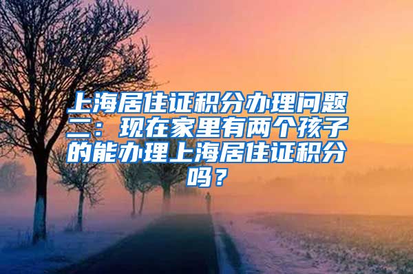 上海居住证积分办理问题二：现在家里有两个孩子的能办理上海居住证积分吗？