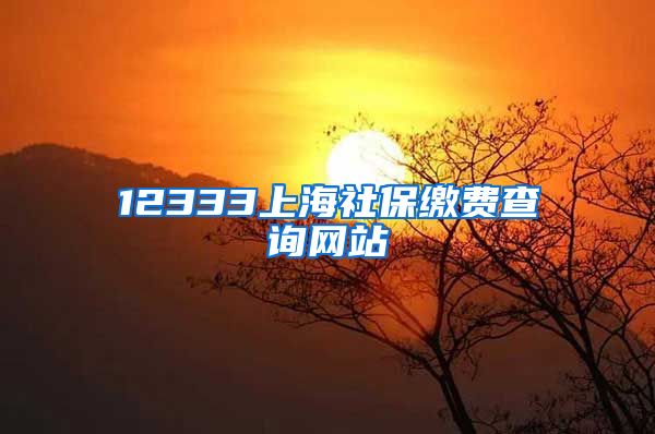12333上海社保缴费查询网站